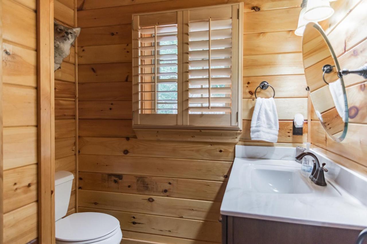 Iron Mountain Lodge - Beautiful Cabin With Forest & Mountain Views! Butler Exterior foto